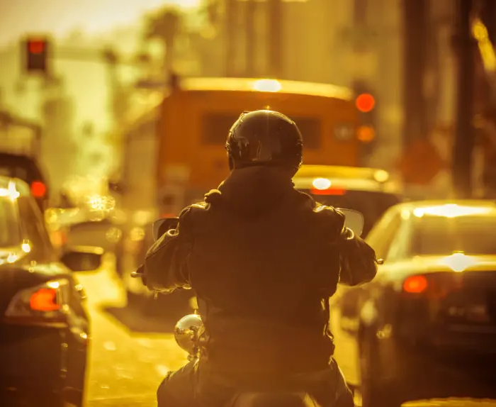 CIRCULATION INTERFILE WBD SERVICES